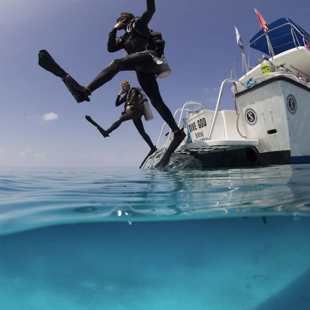 an image of Bahamas diving into the ocean