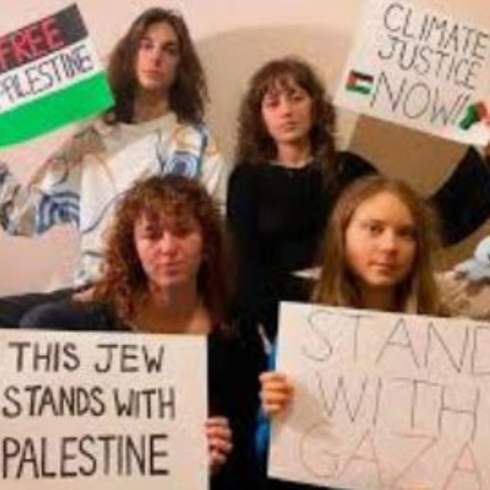 an image of Greta Thunberg stand with Gaza