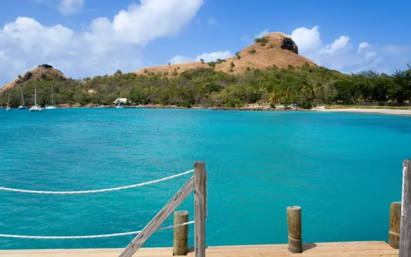 an image of St. Lucia famous for mountains and rainforest