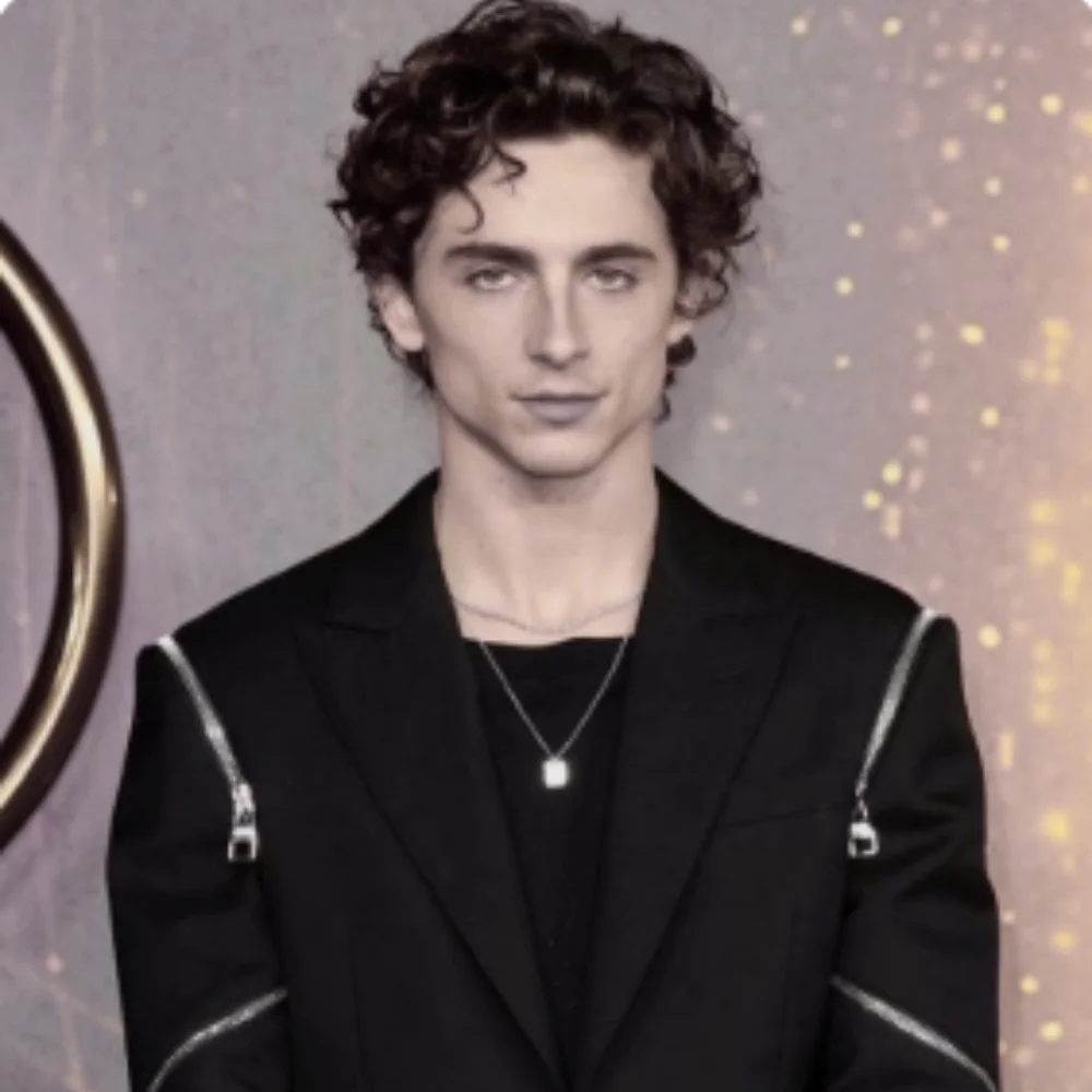 Image of Timothée Chalamet