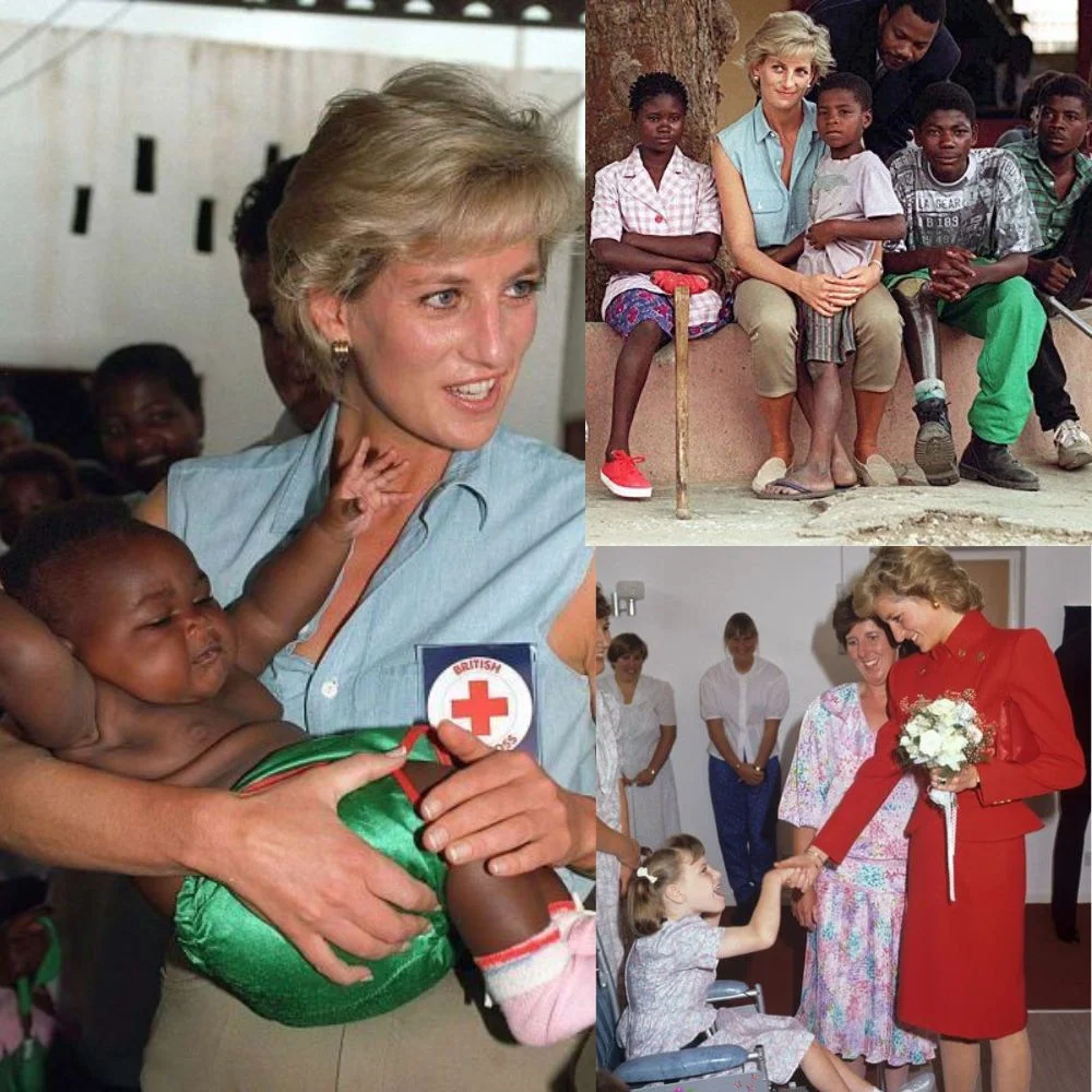 an image of Diana's Humanitarian Work