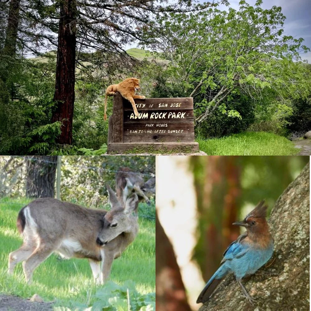 an image of Nature and Wildlife