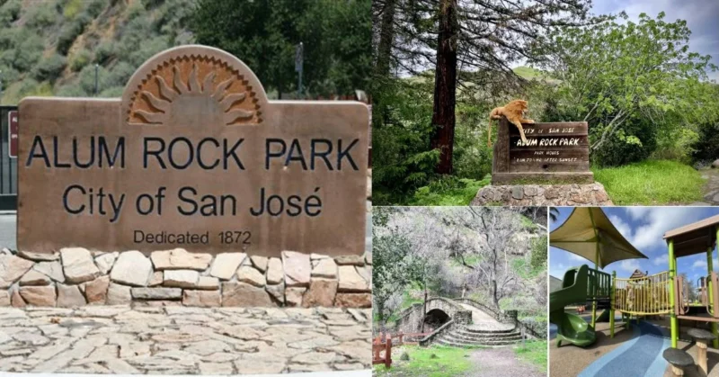 an image of Plan Your Visit to Scenic Alum Rock Park
