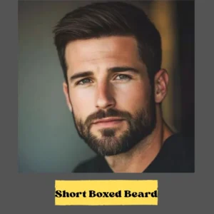 an image of the Short Boxed Beard