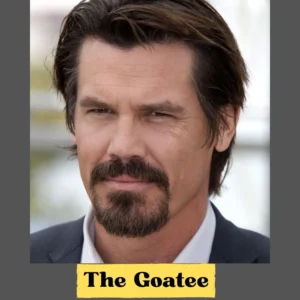 an image of The Goatee on the chin