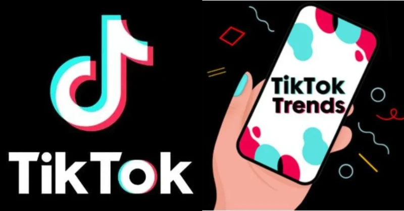 an image of viral TikTok trends