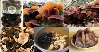 an image of Wood Ear Mushroom in different forms