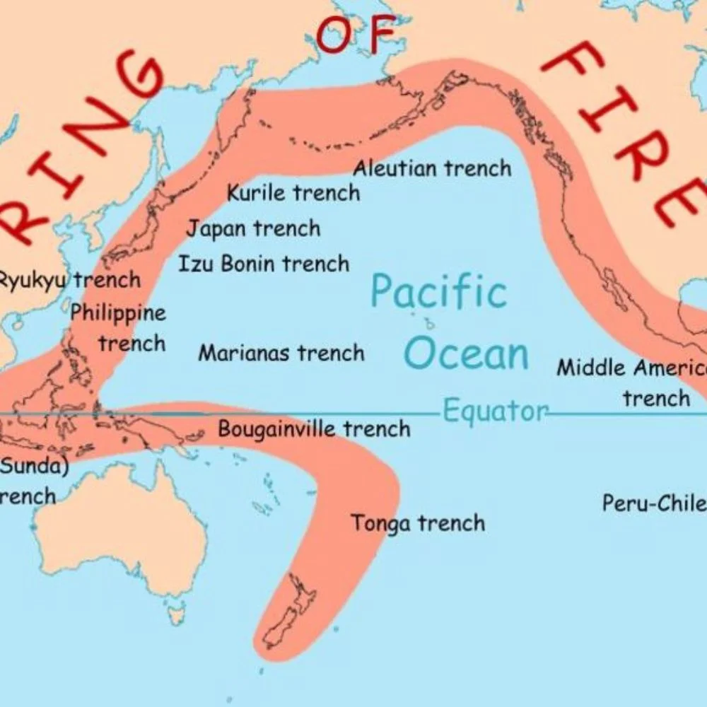 Fixed Tectonic Boundaries