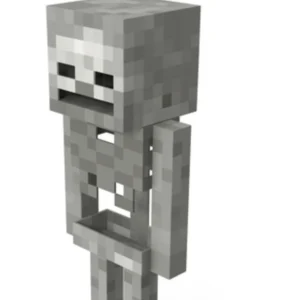 Minecraft character Skeletons